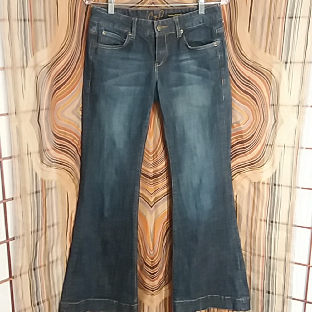 Chip and Pepper jeans size 7